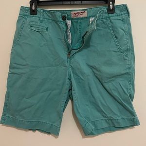 34” teal mens shorts.
